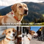 Plutus Pet Genuine Leather & Hemp Dog Collar, Adjustable, Gentle & Stylish - Image 6