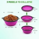 Dog Bowl Pet Collapsible Bowls, 2 Pack Collapsible Dog Water Bowls for Cats Dogs, Portable Pet Feeding Watering Dish for Walking Parking Traveling with 2 Carabiners (Small, Pink+Purple) - Image 4