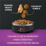 Purina Pro Plan AdvantEDGE Senior Support Plus Dry Dog Food, 3.5 lb Bag - Image 3