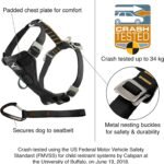 Kurgo Enhanced Strength Tru-Fit Smart Harness, Black, Large - Image 2