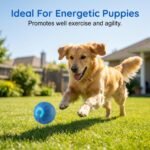 Interactive Dog Toy, Auto-Bouncing Motion-Activated Tough Silicone Ball - Image 6