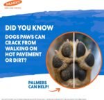 Palmers for Pets Cocoa Butter Paw Pad and Nose Balm for Dogs, 3.5 Oz - Image 4