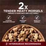 Purina ONE True Instinct Grain Free Dry Dog Food, Real Beef, 12.5 lb Bag - Image 6