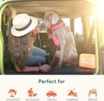 ARCA PET Cat & Dog First Aid Kit for Car - Pet Emergency Kit for Home Office Travel – Dog Camping Essentials with Muzzle & Mini First Aid Pouch - Image 5