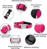 Personalized Dog Collars, Custom Engraved Name and Phone Number - Image 2