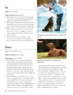 The Dog Behavior Problem Solver, Revised Second Edition: Positive Training Techniques to Correct the Most Common Problem Behaviors (CompanionHouse Books) Fix Barking, Chewing, Anxiety, and More - Image 6