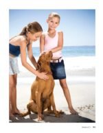 The Dog Behavior Problem Solver, Revised Second Edition: Positive Training Techniques to Correct the Most Common Problem Behaviors (CompanionHouse Books) Fix Barking, Chewing, Anxiety, and More - Image 7