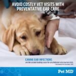 Pet MD Cat and Dog Ear Cleaner Wipes - Advanced Otic Veterinary Ear Cleaner Formula - Dog Ear Infection Treatment - 100 Count - Image 4