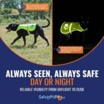 Reflective Dog Vest, Hi Vis Safety Gear for Low-Light Morning & Night Walks - Image 5