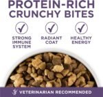 Purina ONE Plus Senior Dry Dog Food, Adult 7+, 31.1 lb Bag - Image 6