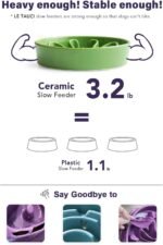 LE TAUCI Slow Feeder Dog Bowls Ceramic, 1.5 Cups Dog Food Bowl, Puppy Slow Feeder Dish for Fast Eaters, Clover Green - Image 4