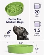 LE TAUCI Slow Feeder Dog Bowls Ceramic, 1.5 Cups Dog Food Bowl, Puppy Slow Feeder Dish for Fast Eaters, Clover Green - Image 5