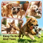 Squeaky Plush Dog Toys, Durable Chew Companion for Daily Play and Comfort - Image 4