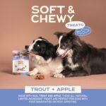 Smart Cookie Healthy Soft Dog Treats - Trout & Apple - Grain Free Limited Ingredient Training Treats for Dogs with Sensitive Stomach & Allergies, Natural Novel Protein, Made in the USA (5oz.) - Image 3