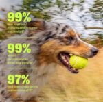 Wuffes Advanced Hip & Joint Chews for Small & Medium Breed Dogs, Vet Recommended, Glucosamine, Chondroitin, MSM, Green-Lipped Mussel & Hyaluronic Acid Supplement, Supports Mobility, 60 Pork Chews - Image 4