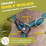 Fida Durable Slip Lead Dog Leash, 6 FT x 1/2" Dog Training Leash, Blue - Image 4