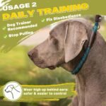 Fida Durable Slip Lead Dog Leash, 6 FT x 1/2" Dog Training Leash, Blue - Image 5