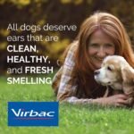 Epiotic Advanced Ear Cleanser|Gentle Ear Cleanser for Dogs and Cats - Image 4