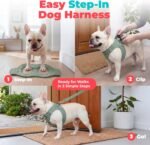 Voyager Step-in Air Dog Vest Harness - Moss Green, Small - Image 3