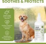 Liquid Bandage for Dogs 4oz Waterproof Spray - Dog Wound Care with Aloe for Cuts, Scrapes, Hot Spots & Paw Injuries - Alcohol-Free, Safe if Licked, Made in USA | Chew + Heal - Image 3