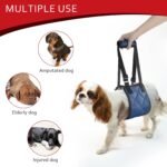 Adjustable Dog Sling Dog Lift Harness for Large Dogs Hind Leg Support - Image 4