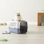 Amazon Basics Sturdy Portable 2-Door Top-Load Hard-Sided Pet Travel Carrier with Secure Ventilation, Handle, Front & Top Entry for Dogs, Cats, 22.8"L x 15"W x 13"H, Gray & Blue - Image 8