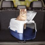 Amazon Basics Sturdy Portable 2-Door Top-Load Hard-Sided Pet Travel Carrier with Secure Ventilation, Handle, Front & Top Entry for Dogs, Cats, 22.8"L x 15"W x 13"H, Gray & Blue - Image 9