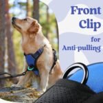 rabbitgoo Dog Harness for Large, Updated Easy On & Off with 3 Buckles - Image 6
