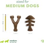 Benebone 2-pack Fishbone/Wishbone Durable Dog Chew Toys, Dog Bones, Medium - Image 4