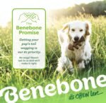 Benebone 2-pack Fishbone/Wishbone Durable Dog Chew Toys, Dog Bones, Medium - Image 5