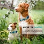 Hikiko Martingale Dog Collar Without Buckle,Escape Proof No Pull,M - Image 3