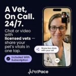 NEW Dog Health Monitor V3.0 by PetPace – AI Smart Collar with 24/7 Vital Signs, Pain & GPS Tracking, Telehealth AskaVet & Share With Your Vet, Smartwatch Sync – Subscription Required (Large) - Image 4