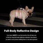 Huntboo Escape Proof Dog Harness, No Pull Reflective Harness with Lift Handle, Adjustable Pet Vest with Front and Back Leash Clips for Small Medium Large Dogs Walking Hiking Training (Black,L) - Image 3