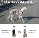 Huntboo Escape Proof Dog Harness, No Pull Reflective Harness with Lift Handle, Adjustable Pet Vest with Front and Back Leash Clips for Small Medium Large Dogs Walking Hiking Training (Black,L) - Image 5