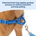 PetSafe Easy Walk Harness for Dogs - Pull-Free Walks - Patented Martingale Loop Design - Front Chest Leash Attachment - Adjustable Comfort Straps - Breathable Harness Design - Large, Black/Silver - Image 4