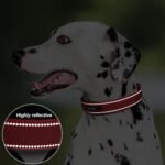PetiFine Dog Collar for Large Dogs, Neoprene Padded and Adjustable, Reflective Wide Heavy Duty Pet Collars with Durable Metal Belt Buckle for Walking, Red, L - Image 4