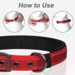PetiFine Dog Collar for Large Dogs, Neoprene Padded and Adjustable, Reflective Wide Heavy Duty Pet Collars with Durable Metal Belt Buckle for Walking, Red, L - Image 6
