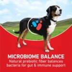 Purina ONE Lamb and Rice Formula Dry Dog Food for Digestive Support - Image 3