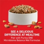 Purina ONE Lamb and Rice Formula Dry Dog Food for Digestive Support - Image 8
