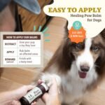Natural Dog Company Paw Soother Dog Paw Balm, 2 oz Stick - Image 5