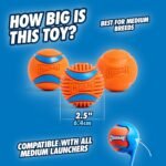 Chuckit! Ultra and Rugged Dog Balls, High-Bounce Fetch, Medium, Set of 3 - Image 3