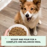 Open Farm Grain Free Dry Dog Food, Wild Caught Salmon Kibble, 22lb Bag - Image 3
