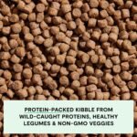 Open Farm Grain Free Dry Dog Food, Wild Caught Salmon Kibble, 22lb Bag - Image 4
