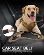 Joytale Tactical Bungee Dog Leash, Shock Absorbing No Pull, Coyote Brown - Image 5