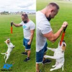 K9 Dog Bite Tug Toy - Made of Durable & Tear-Resistant French Linen - Perfect for Tug of War, Fetch & Puppy Training - Ideal for Medium to Large Dogs - Tough Pull Toy with Strong Handle & Stitching - Image 4