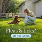 PetArmor Plus Flea & Tick Topical Dogs 5-22 lbs, 3-Month - Image 9