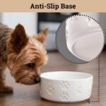 Ceramic Dog Bowl Set of 2 with Anti-Skid Base, 5.5"W x 2"H, 2 Cup Capacity - Image 4