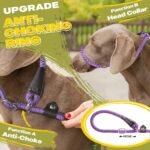 Fida Durable Slip Lead Dog Leash, 6 FT x 1/2" Dog Training Leash, Purple - Image 3