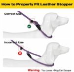 Fida Durable Slip Lead Dog Leash, 6 FT x 1/2" Dog Training Leash, Purple - Image 7