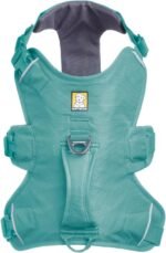 Ruffwear, Web Master Dog Body Harness, River Rock Green, Large/X-Large - Image 3